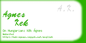 agnes kek business card